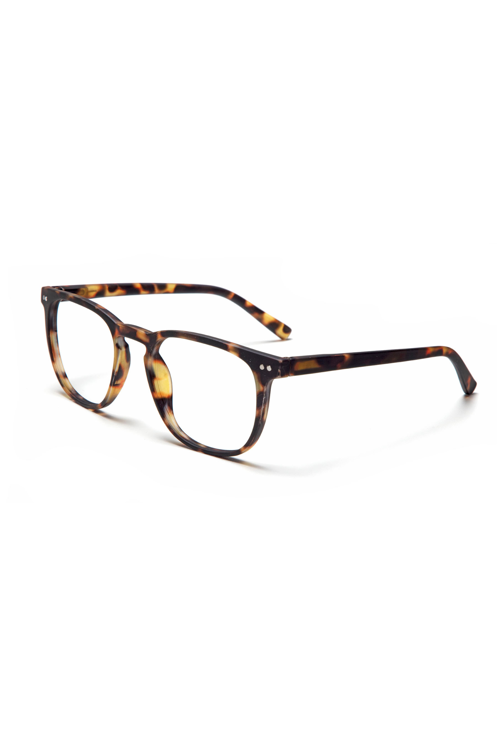 Looplabb Lesebrille "The George" in leo bei Trends & Lifestyle Deutschland GmbH